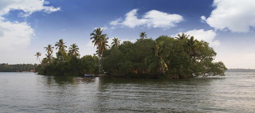 Vinis Farm - A Private Island Stay -Privacy Redefined !!! Mundrothuruth Exteriör bild